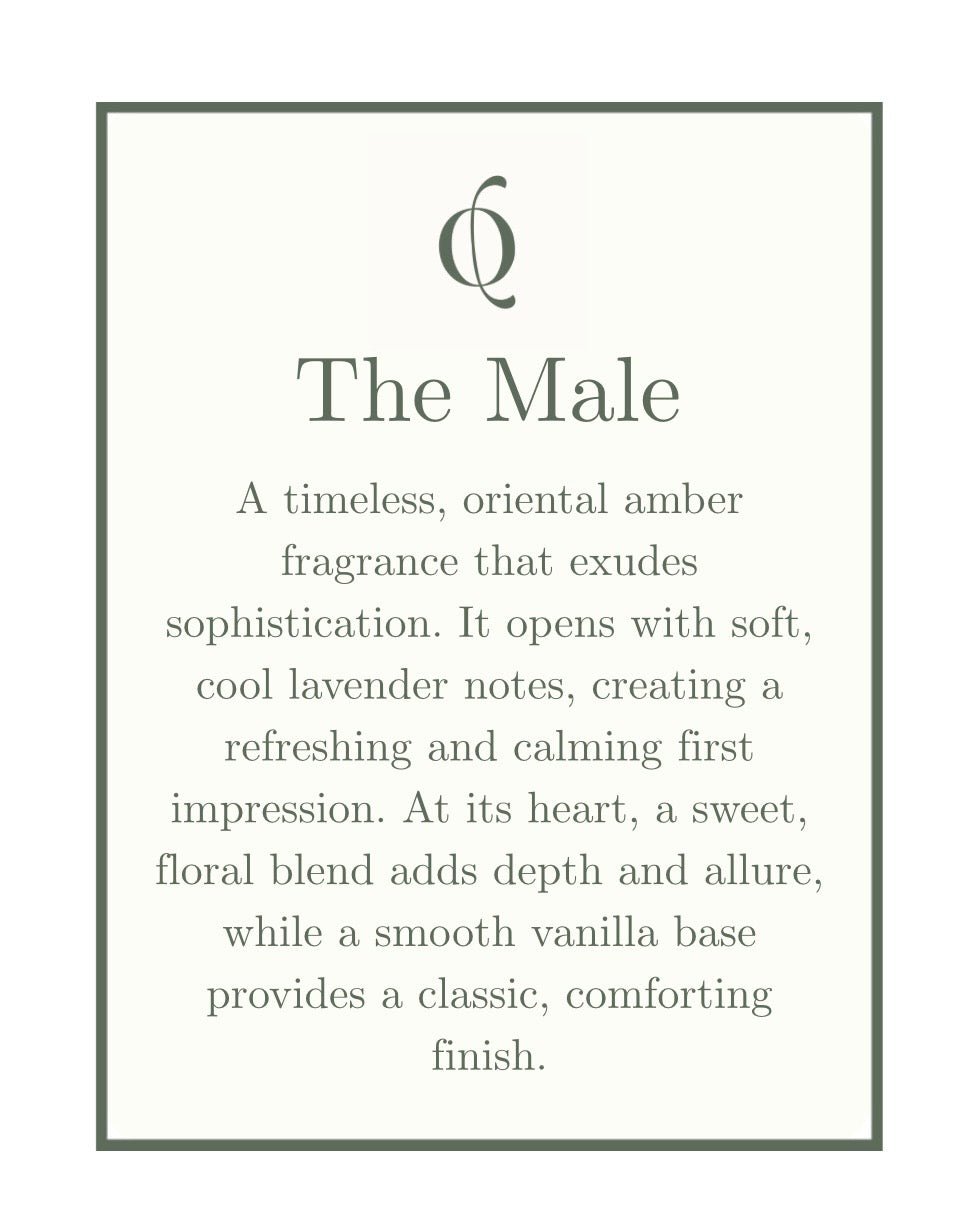 The Male 100ml-Men’s